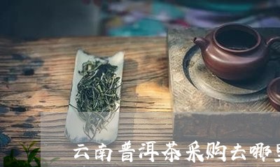 云南普洱茶采购去哪里/2023082858592