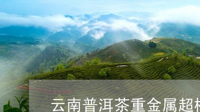 云南普洱茶重金属超标/2023062972037