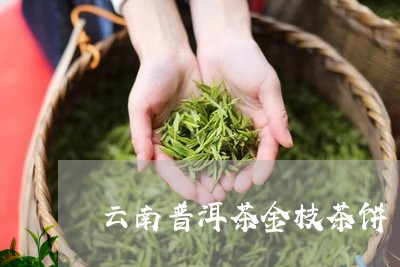 云南普洱茶金枝茶饼/2023120528359