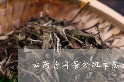 云南普洱茶金班章熟茶/2023101774848