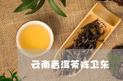 云南普洱茶陈卫东/2023120493036