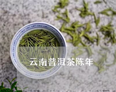 云南普洱茶陈年/2023110582715