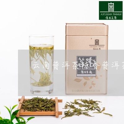 云南普洱茶陈香普洱茶/2023120641947