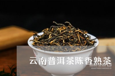 云南普洱茶陈香熟茶/2023120512483