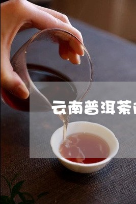 云南普洱茶降火嘛/2023120428562