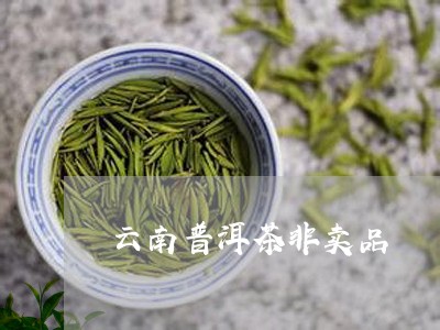 云南普洱茶非卖品/2023120421818