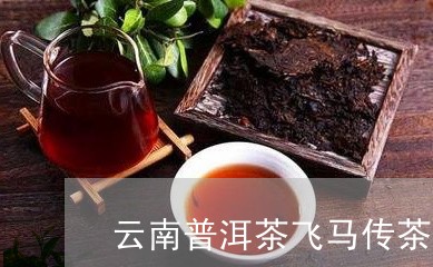 云南普洱茶飞马传茶情/2023062220493