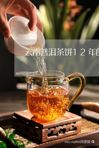 云南普洱茶饼12年的/2023062215936