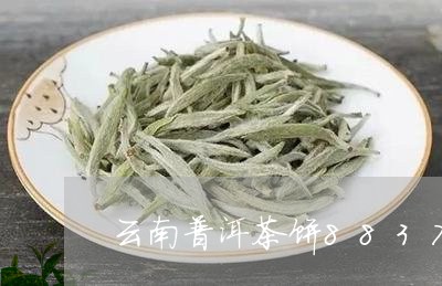 云南普洱茶饼8837/2023080241926