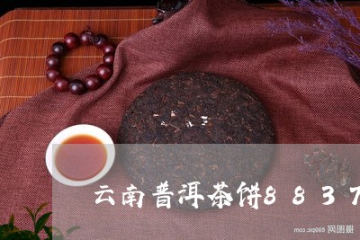 云南普洱茶饼8837/2023100725148