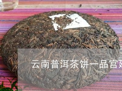 云南普洱茶饼一品宫廷/2023092872615