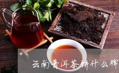 云南普洱茶饼什么牌子/2023080295139