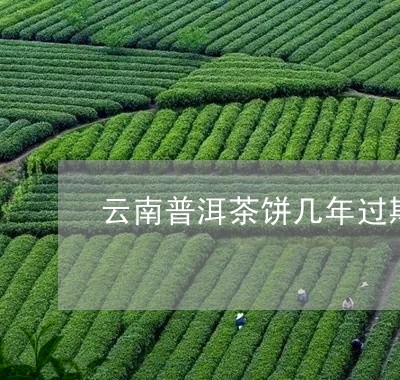 云南普洱茶饼几年过期/2023100572728