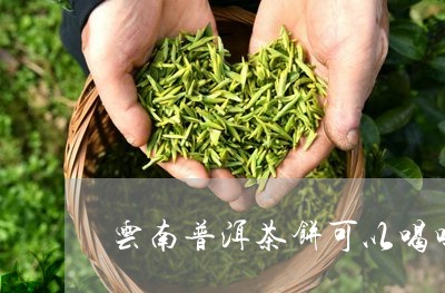 云南普洱茶饼可以喝吗/2023062348379