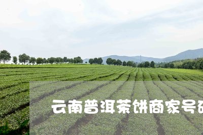 云南普洱茶饼商家号码/2023080248270