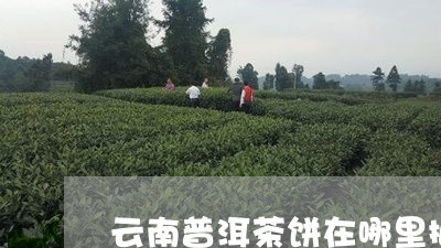 云南普洱茶饼在哪里批发/2023110122615