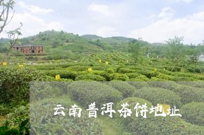 云南普洱茶饼地址/2023120462697