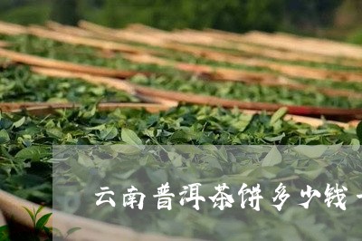 云南普洱茶饼多少钱一饼图片/2023052972616