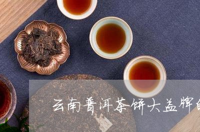 云南普洱茶饼大益牌的/2023092769483