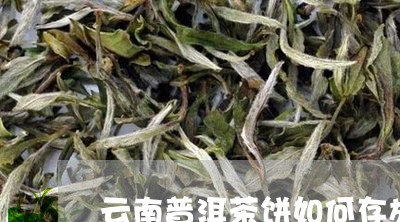 云南普洱茶饼如何存放/2023073143729