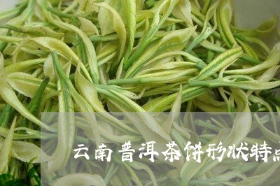 云南普洱茶饼形状特点介绍/2023110472917