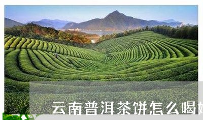 云南普洱茶饼怎么喝好喝/2023110529582