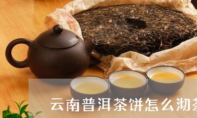 云南普洱茶饼怎么沏茶/2023110515038