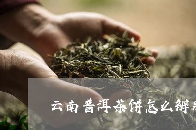 云南普洱茶饼怎么辨别/2023062477068