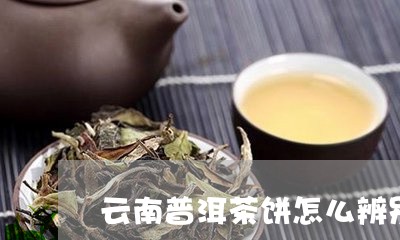 云南普洱茶饼怎么辨别/2023080178258