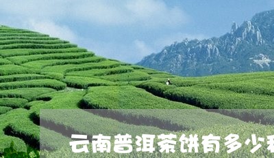 云南普洱茶饼有多少种类/2023050681736