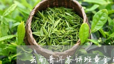 云南普洱茶饼班章金芽/2023092601814