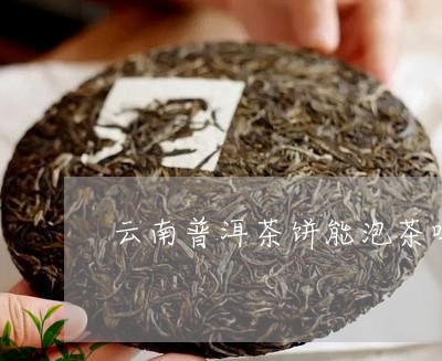 云南普洱茶饼能泡茶吗/2023062385171