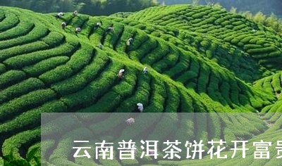 云南普洱茶饼花开富贵/2023080328371