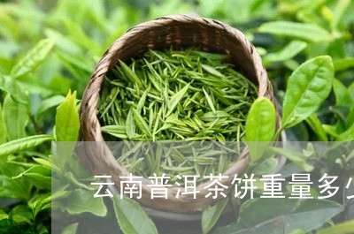 云南普洱茶饼重量多少克/2023050601749