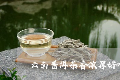 云南普洱茶香浓厚好喝吗/2023110357392