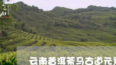 云南普洱茶马古道元素/2023100666951