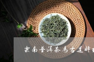 云南普洱茶马古道驿站/2023062557049