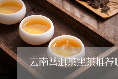 云南普洱茶黑茶推荐哪款/2023082892147