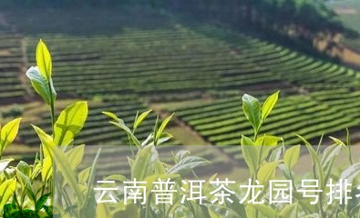 云南普洱茶龙园号排名/2023100826989