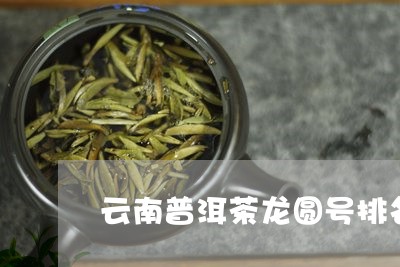 云南普洱茶龙圆号排名/2023100671491