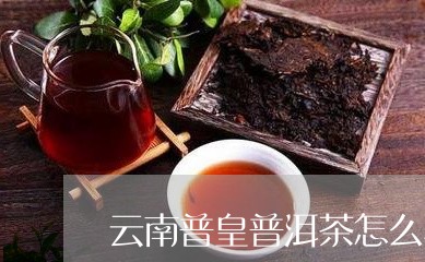 云南普皇普洱茶怎么样好喝吗/2023110282703