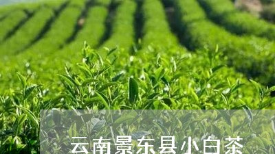 云南景东县小白茶/2023061432926