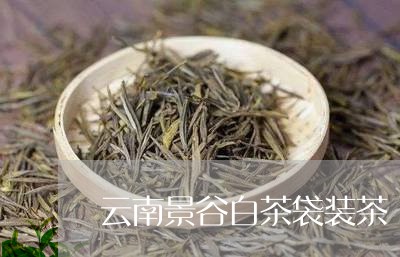 云南景谷白茶袋装茶/2023121654027