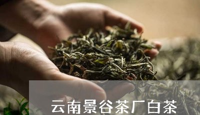 云南景谷茶厂白茶/2023061449675