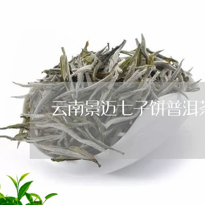 云南景迈七子饼普洱茶/2023062042603