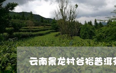 云南景龙村谷裕普洱茶/2023092838392