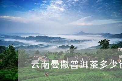 云南曼撒普洱茶多少钱/2023061640463