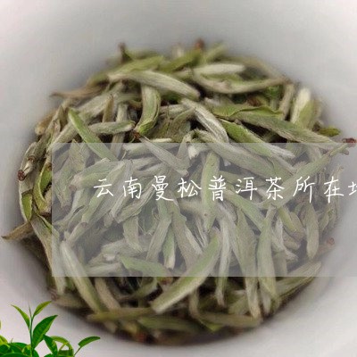 云南曼松普洱茶所在地/2023092738595