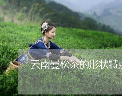 云南曼松茶的形状特点/2023071326148