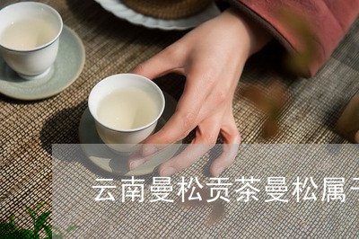 云南曼松贡茶曼松属于什么茶/2023052677363